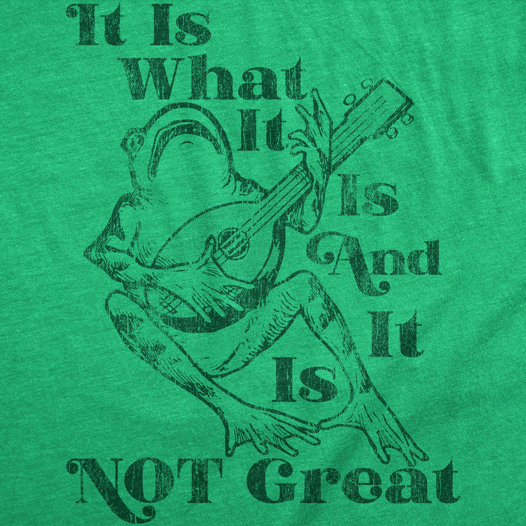 It Is What It Is And It Is Not Great Women's T Shirt
