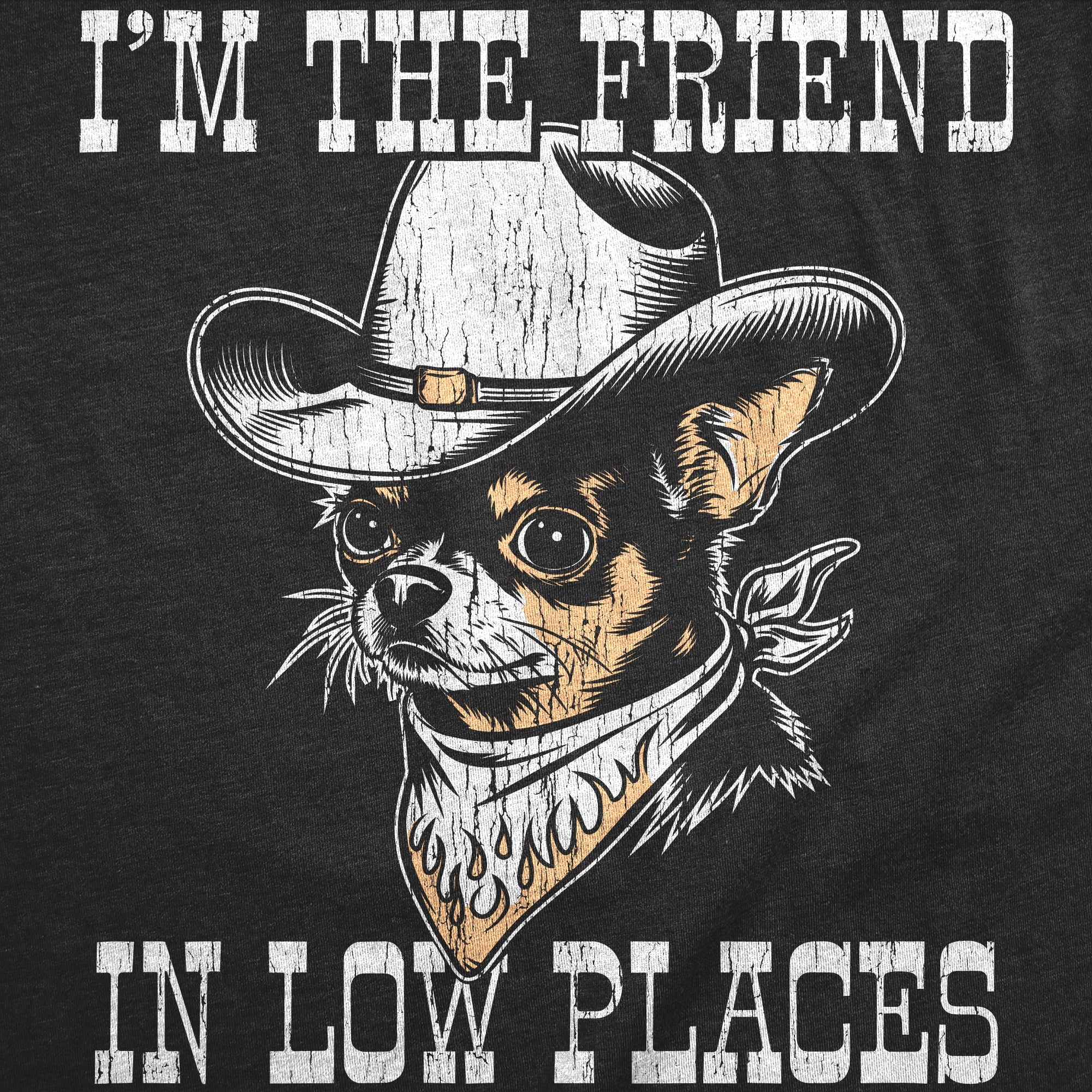 Im The Friend In Low Places Men's T Shirt