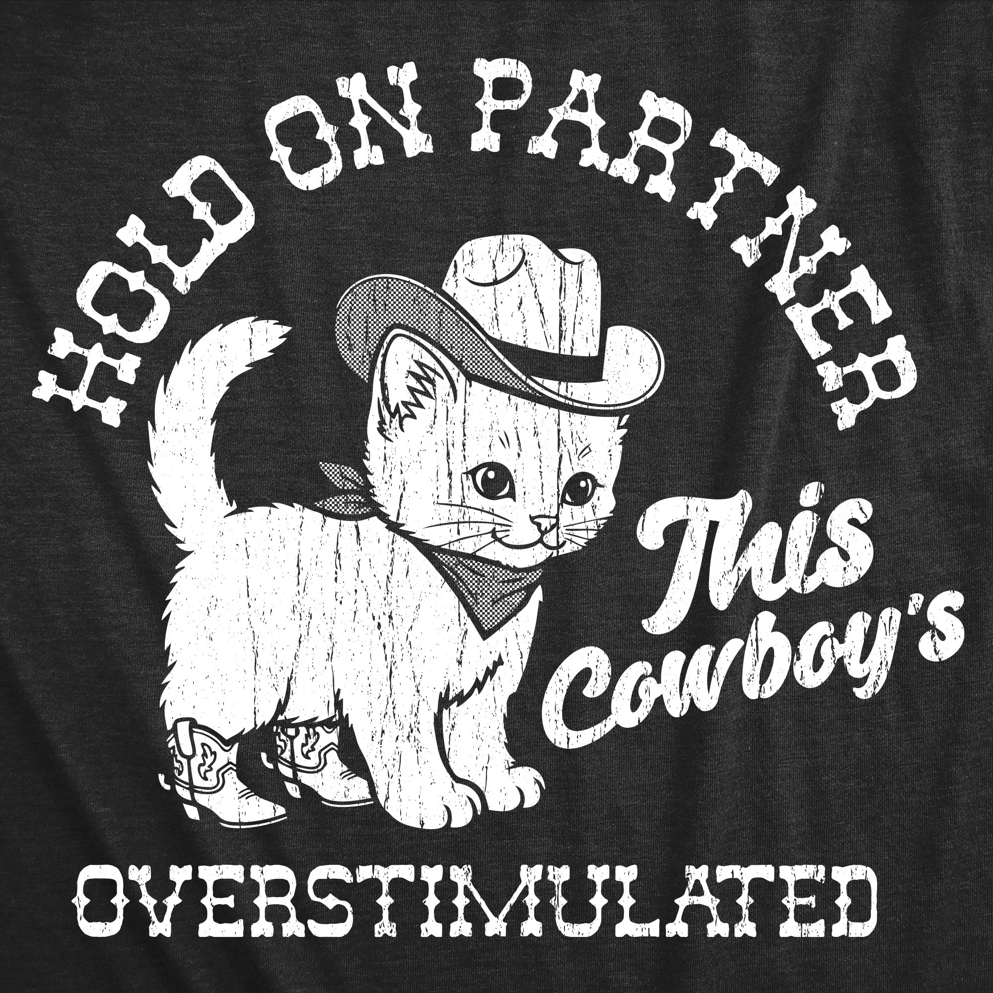 Hold On Partner This Cowboys Overstimulated Men's T Shirt