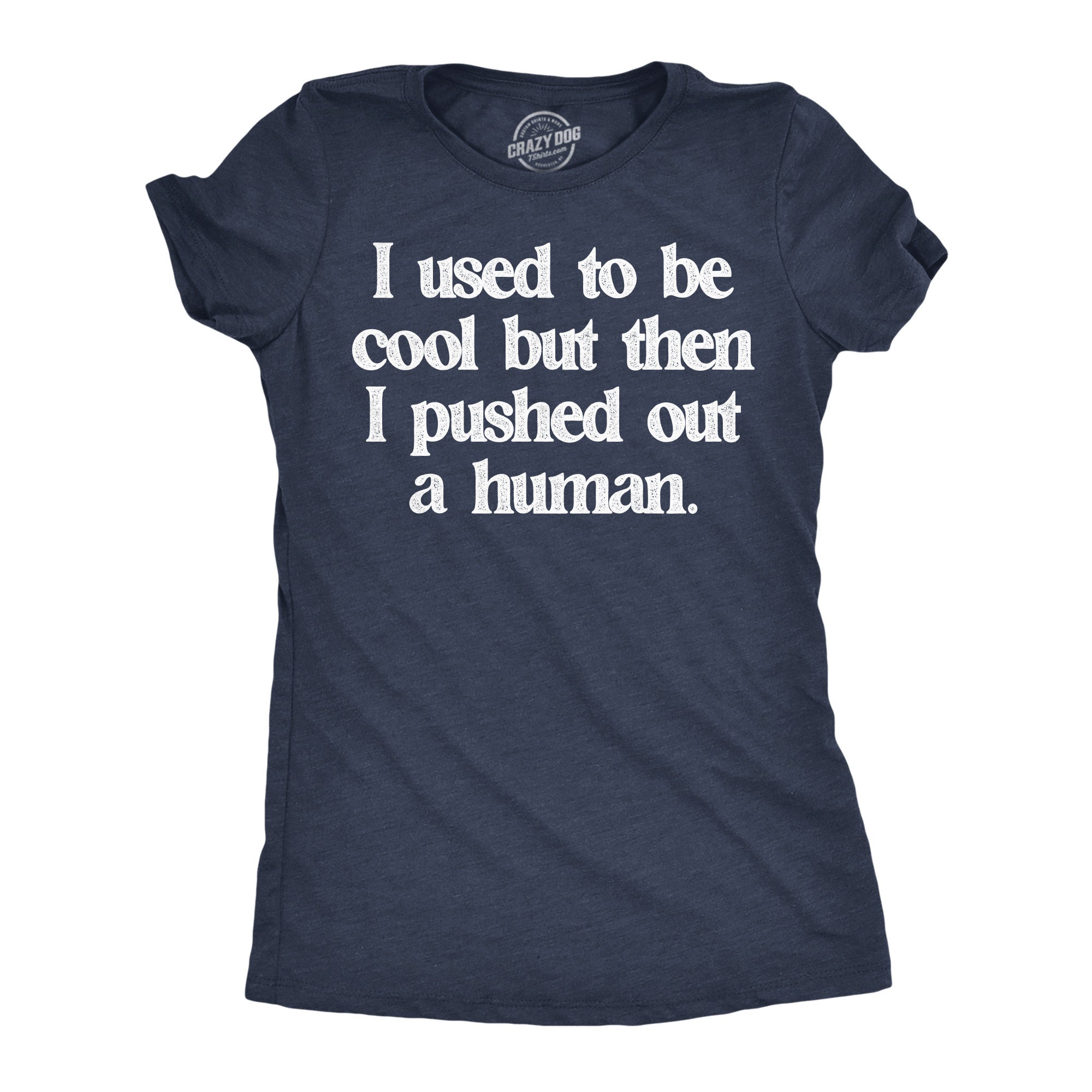 I Used To Be Cool But Then I Pushed Out A Human Women's T Shirt