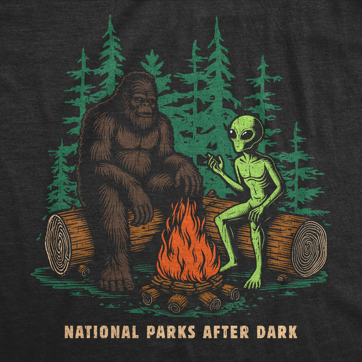 National Parks After Dark Men's T Shirt