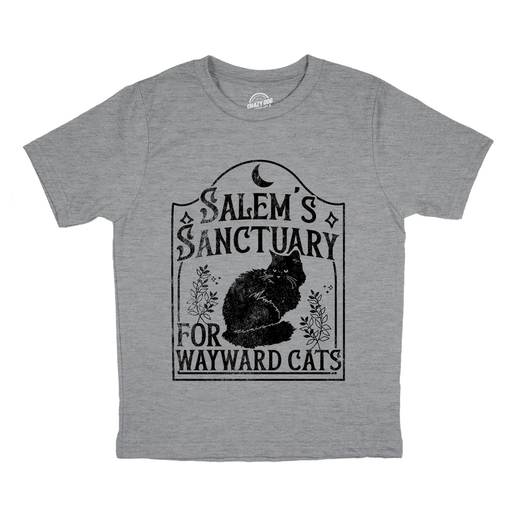 Salems Sanctuary for Wayward Cats Youth T Shirt