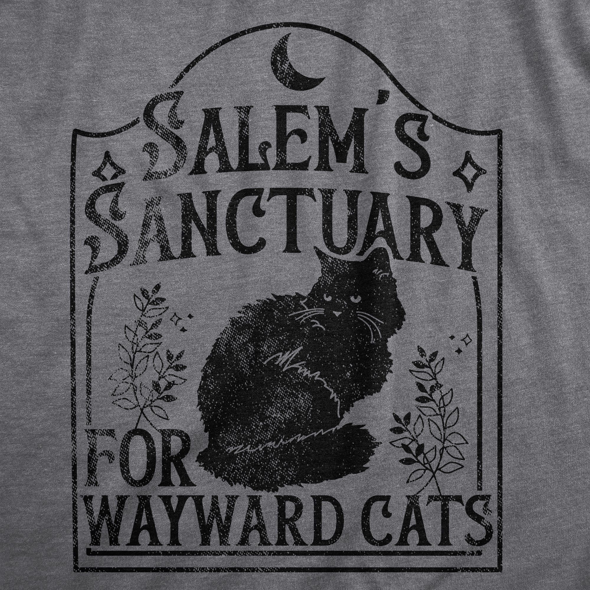 Salems Sanctuary for Wayward Cats Youth T Shirt