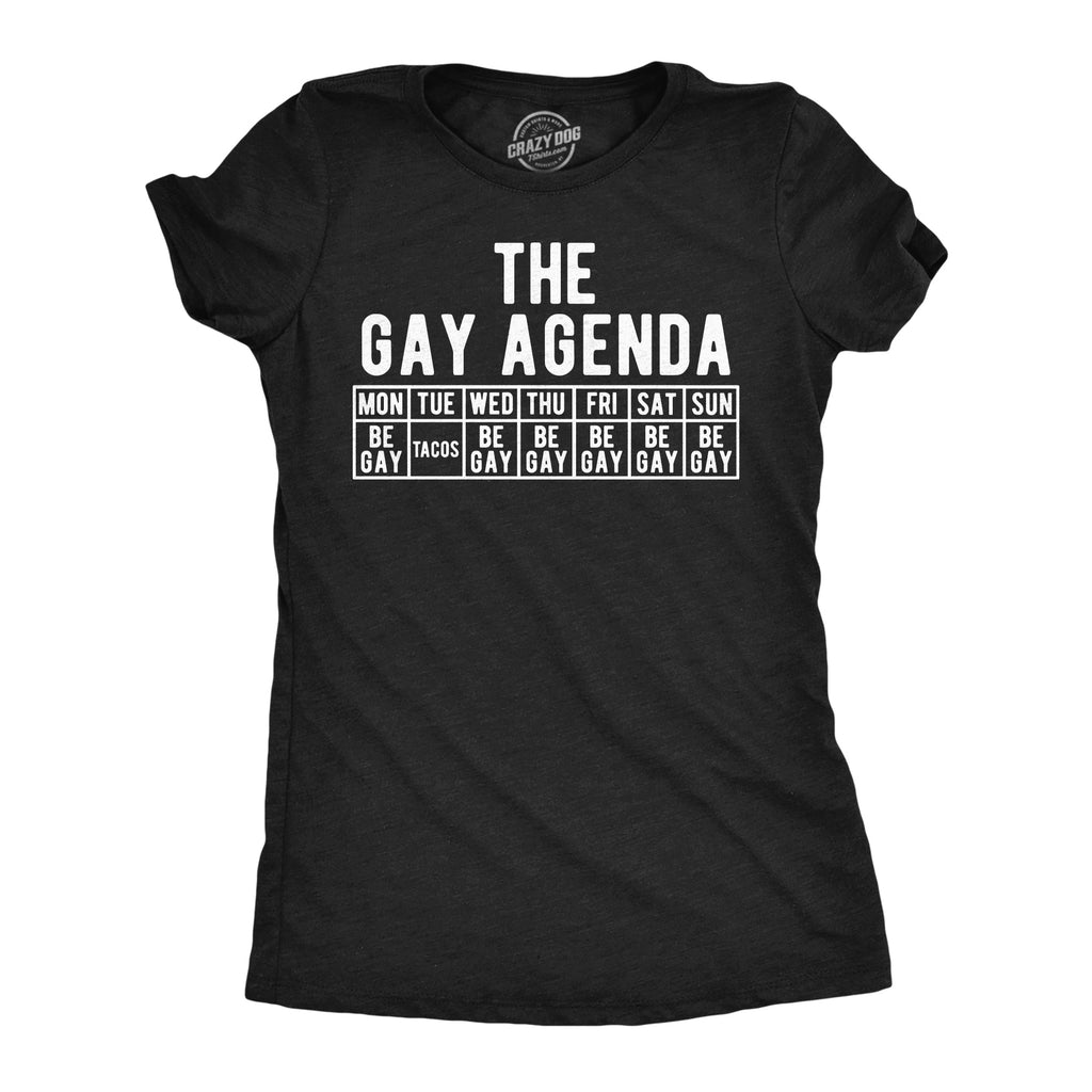 The Gay Agenda Women's T Shirt