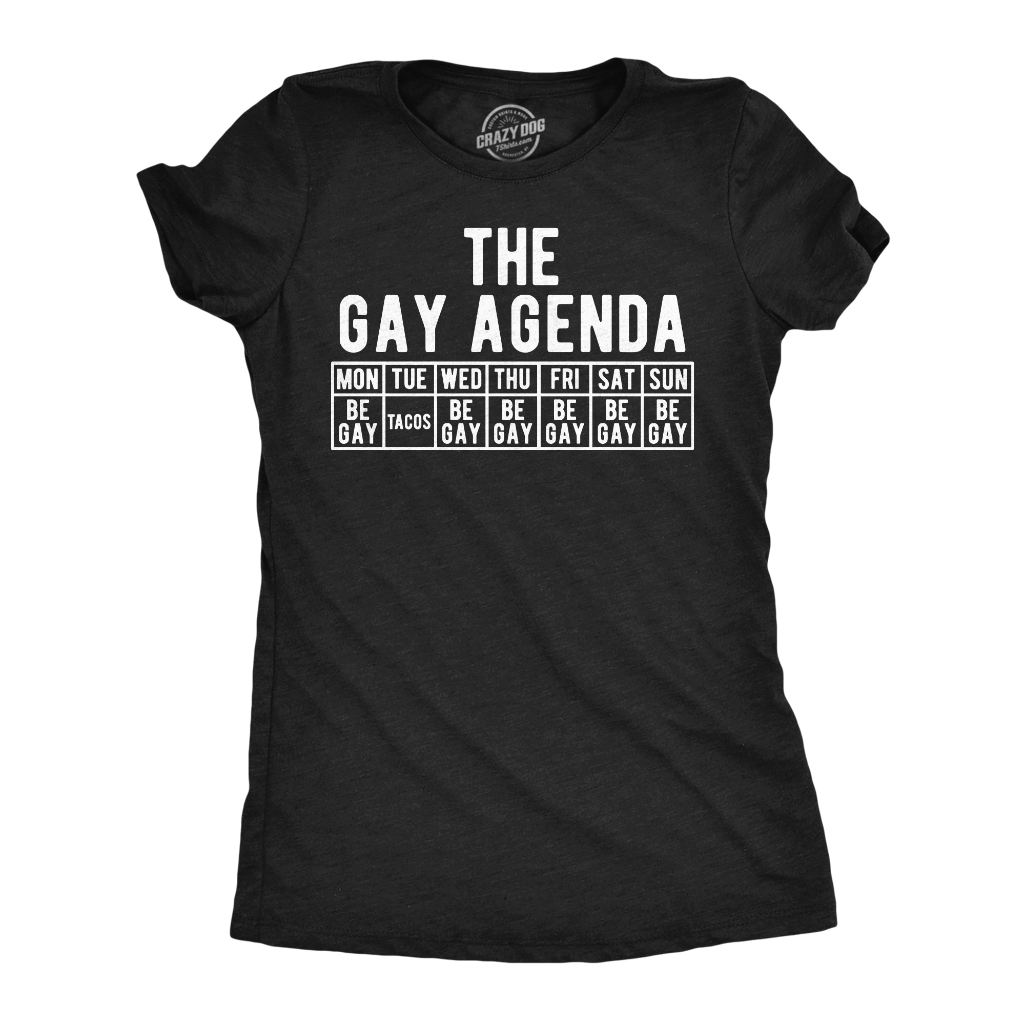 The Gay Agenda Women's T Shirt