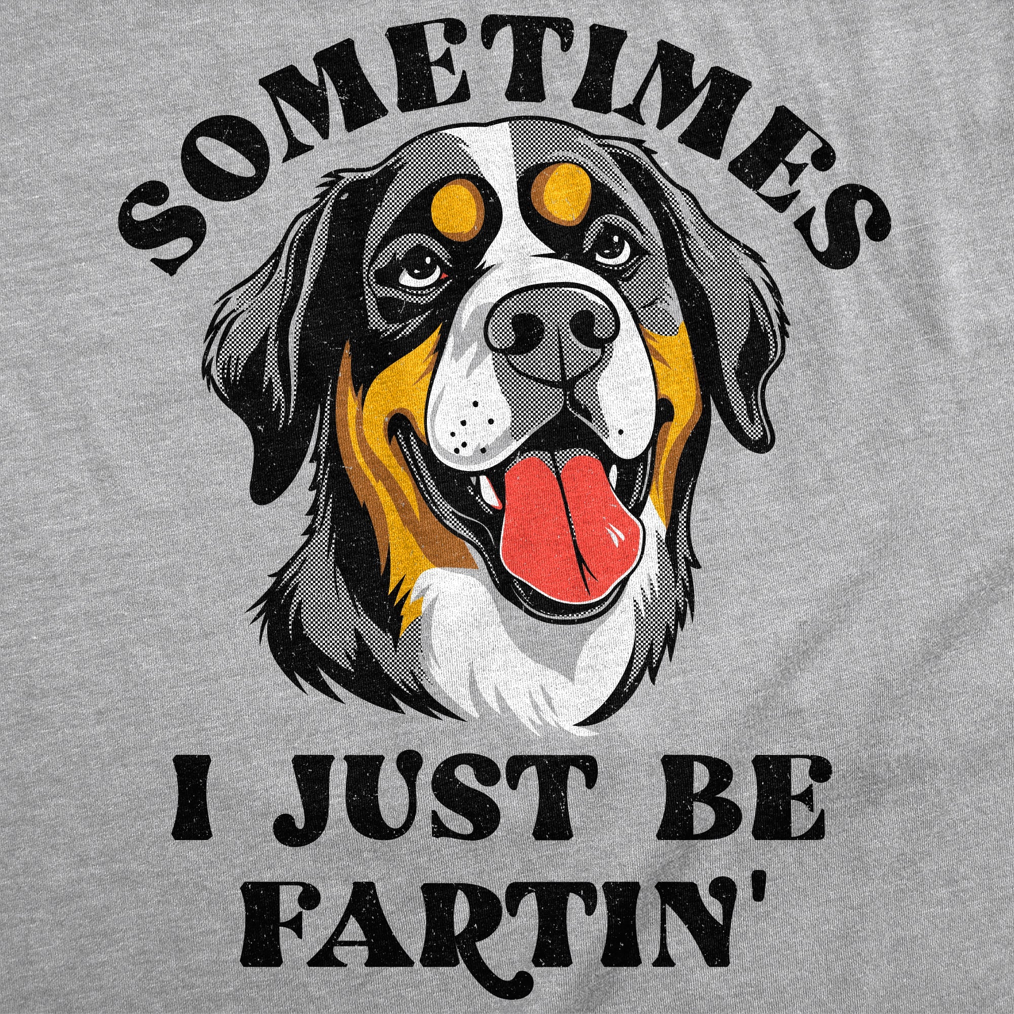 Sometimes I Just Be Fartin Women's T Shirt