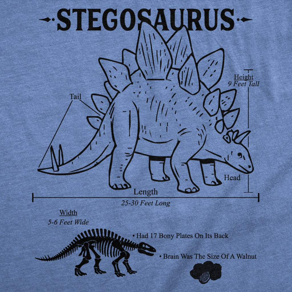 Stegosaurus Infographic Women's T Shirt