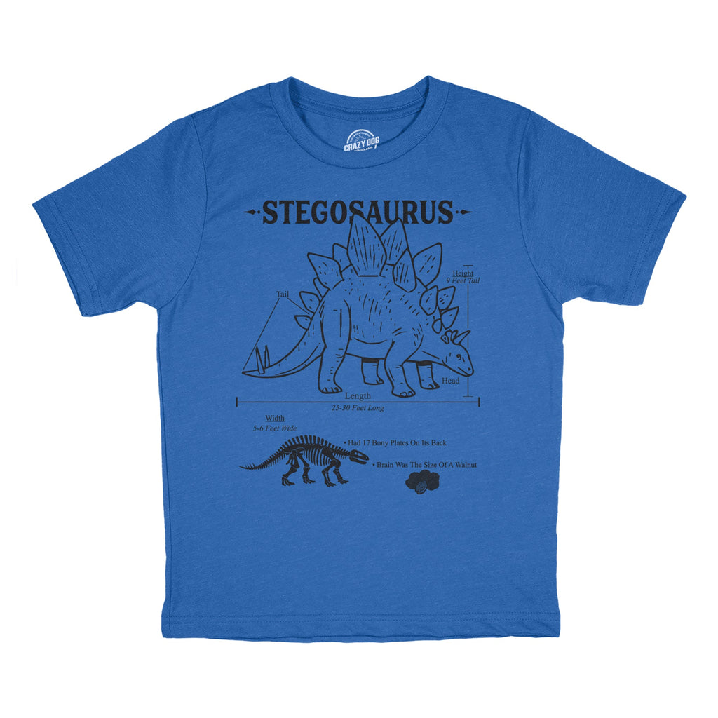 Stegosaurus Infographic Youth T Shirt