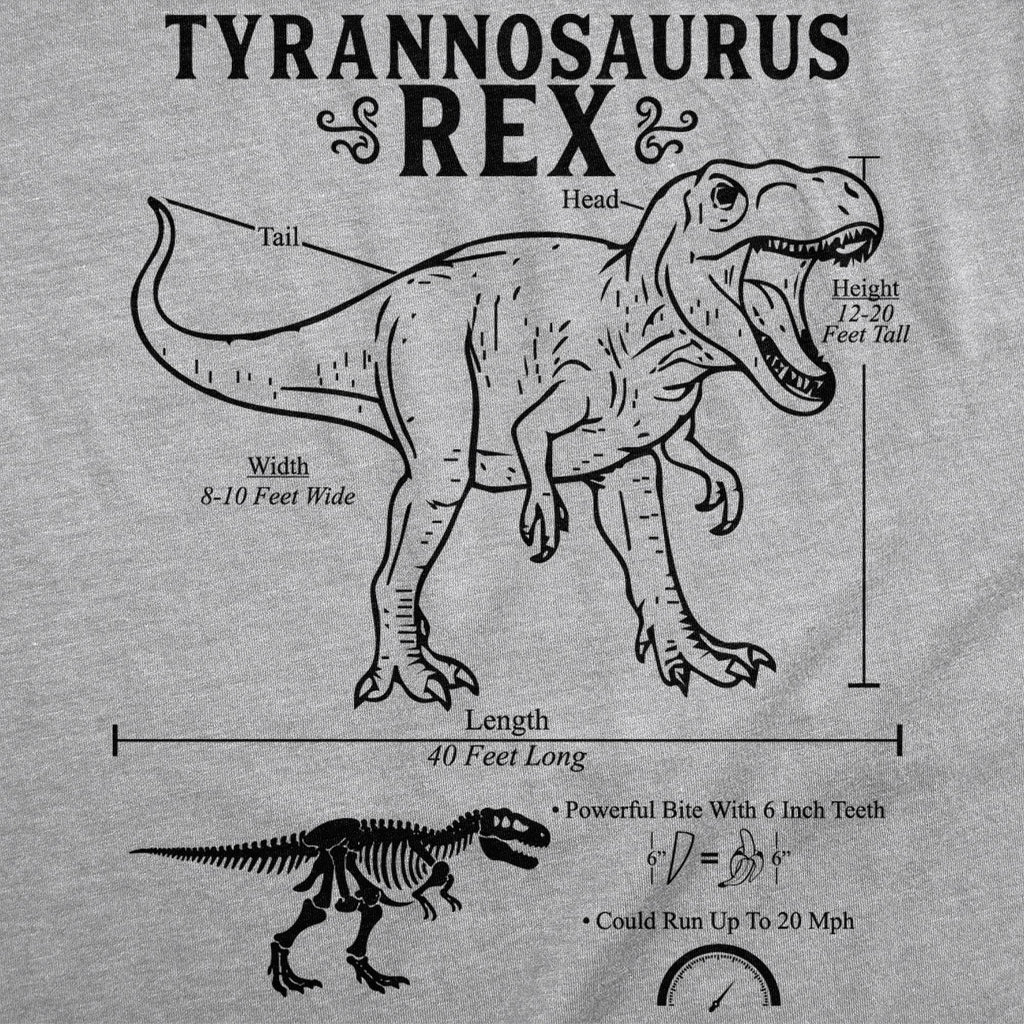 Tyrannosaurus Rex Infographic Youth T Shirt