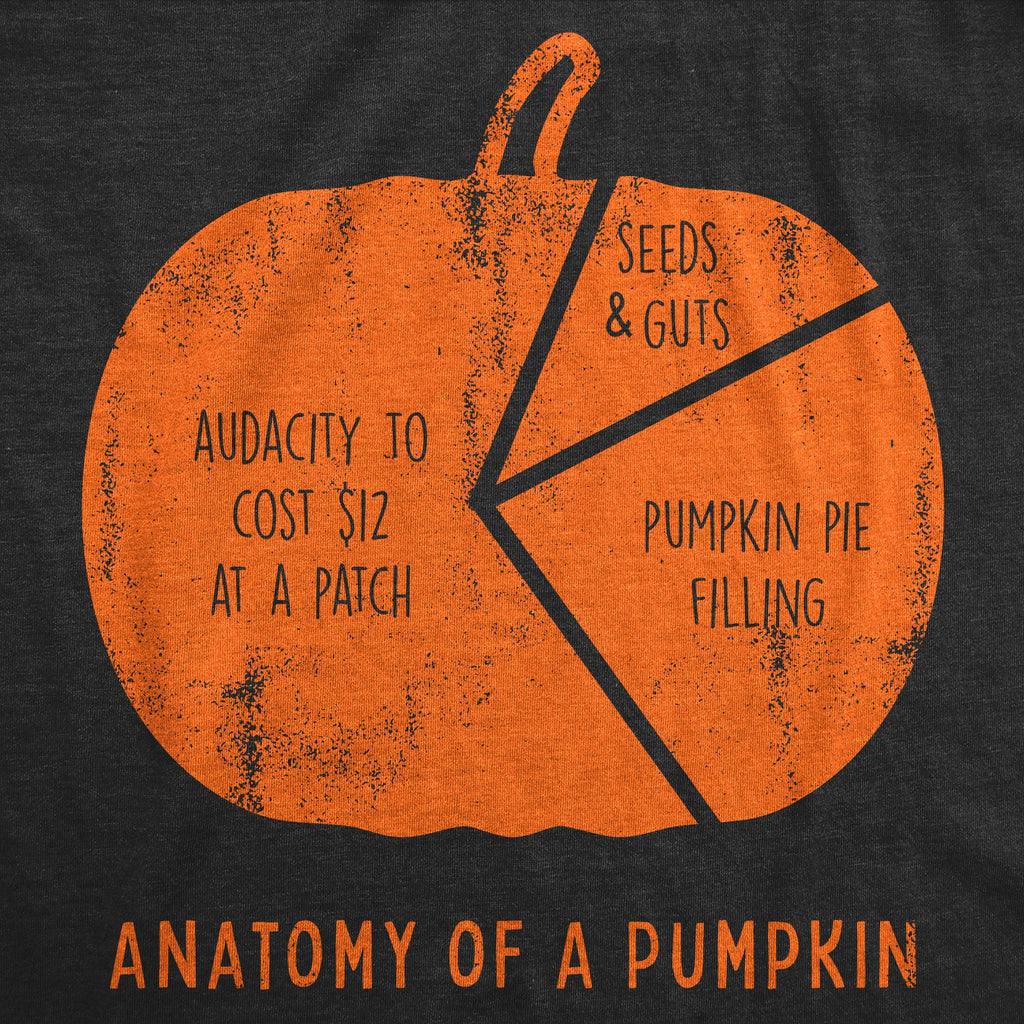 Anatomy Of A Pumpkin Women's T Shirt