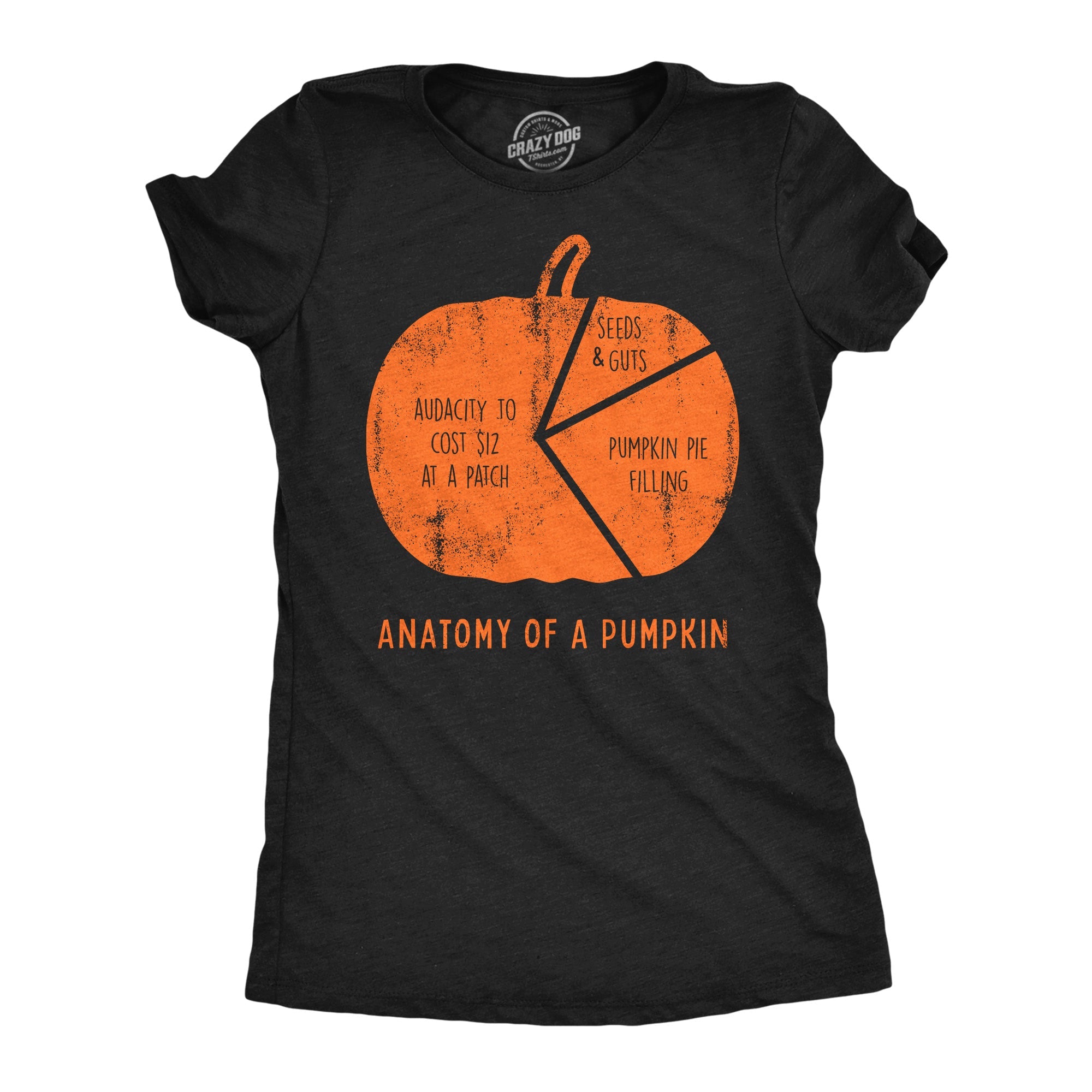 Anatomy Of A Pumpkin Women's T Shirt