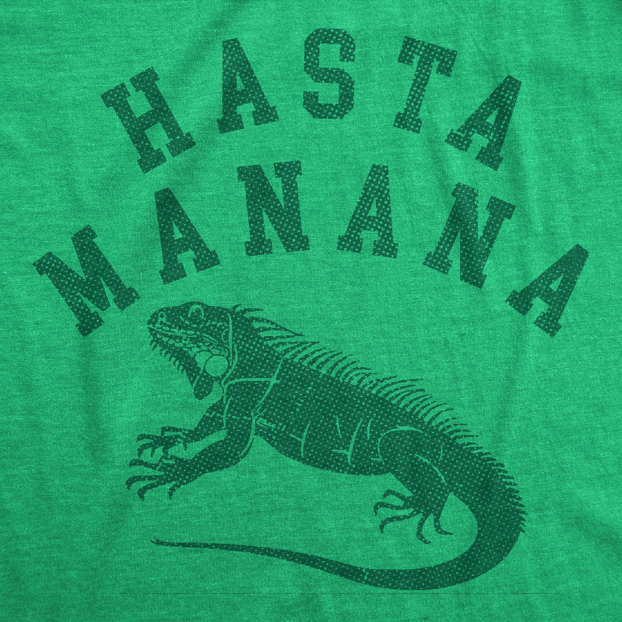 Hasta Manana Iguana Men's T Shirt