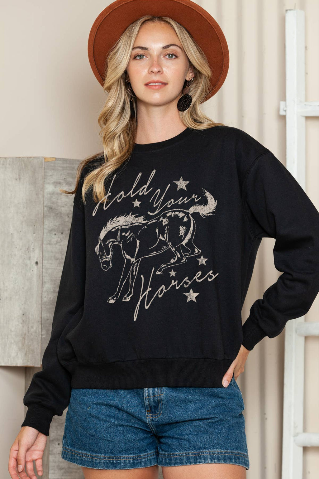 Women Horse Graphic Print Solid Pullover Sweater