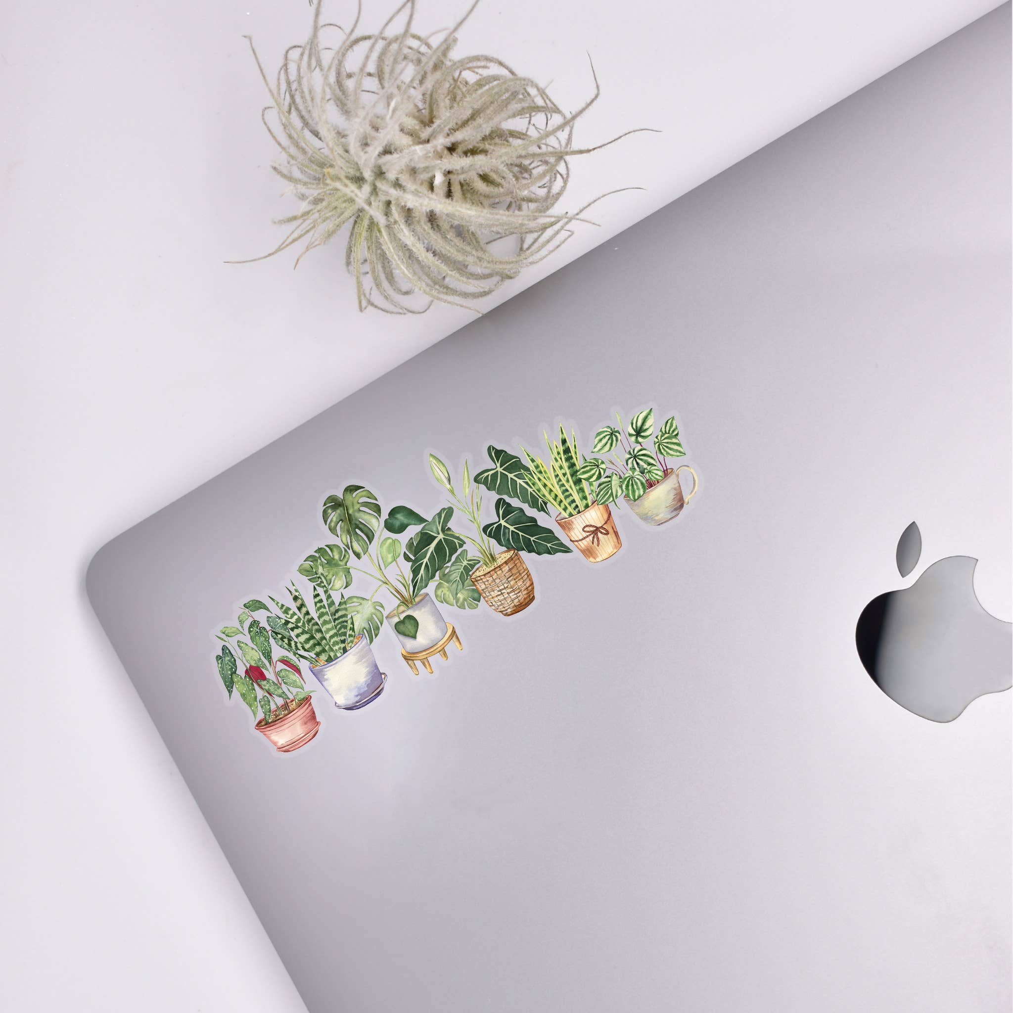 Potted Plants Sticker