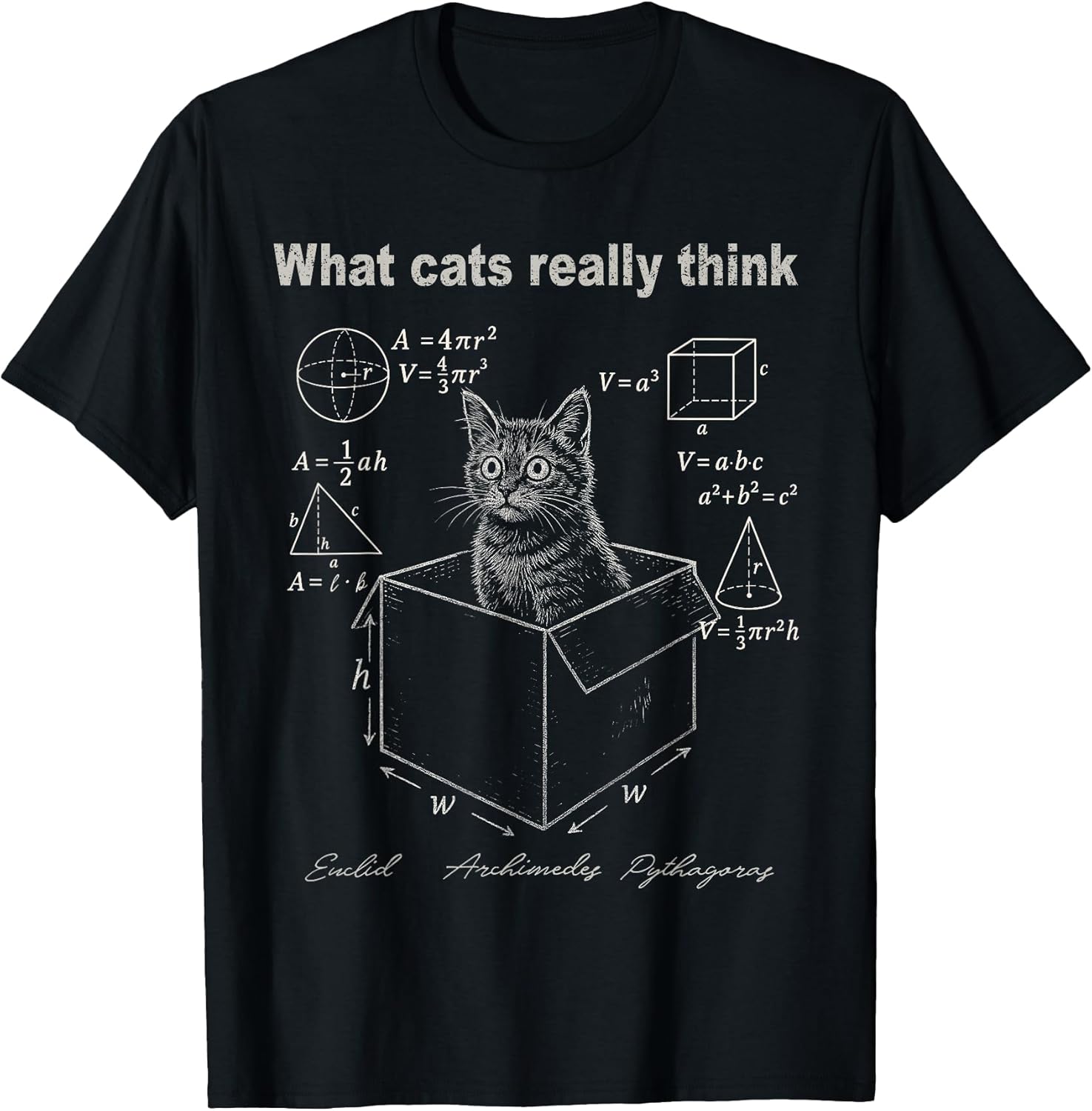 Funny Cat in Box Math Humor Design for Cat Lovers T-Shirt