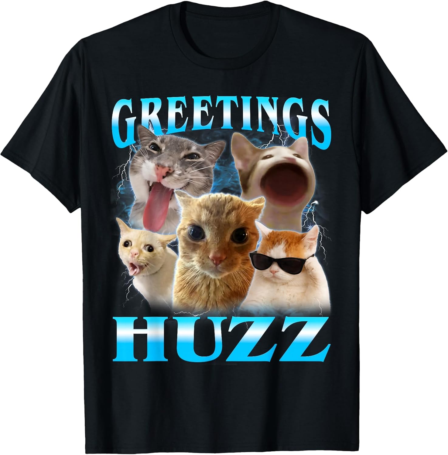 Cat Meme Greetings Huzz Funny Silly Cats Lover Women Mom T-Shirt