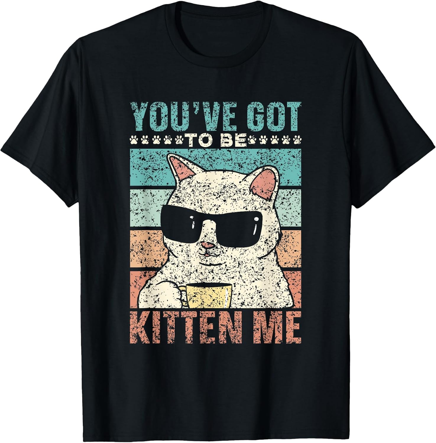 Cats Cat Cute Pet Animal