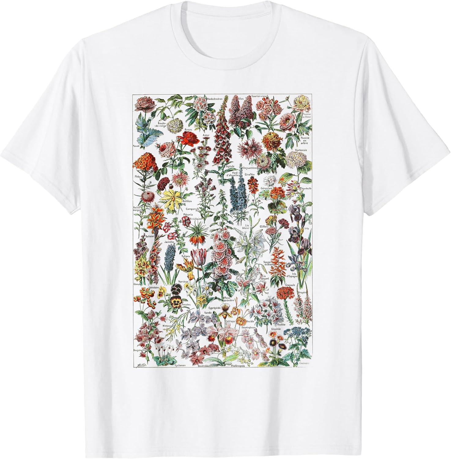 Blumen Botanical Chart