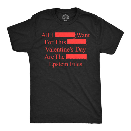 All I Want For Valentines Day Are the Epstein Files Men's T Shirt