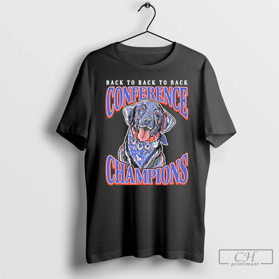 Classic Boise State Football Back Back Back Conference Champions Blitz T-Shirts, Hoodie, Sweatshirt