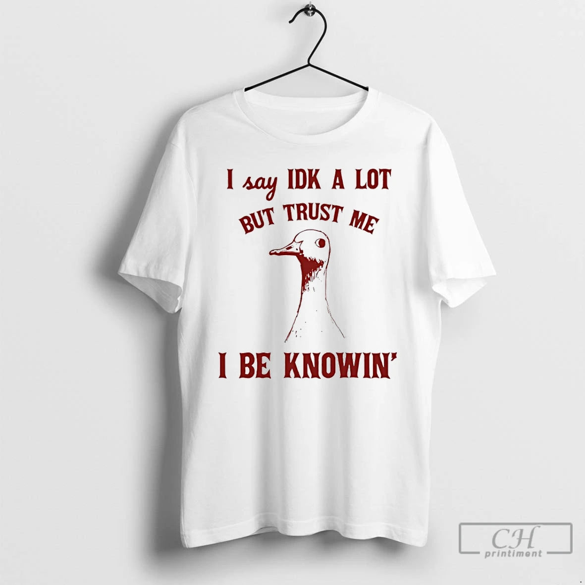 Classic Duck I Say Idk A Lot But Trust Me I Be Knowin Art T-Shirts, Hoodie, Sweatshirt | PopFlextees.com