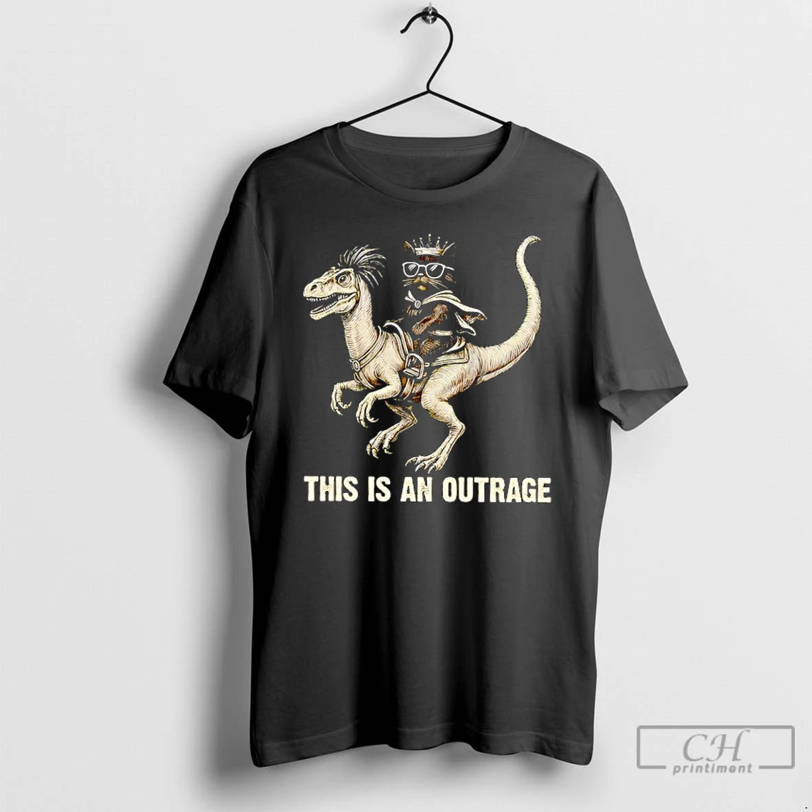 Classic This Is An Outrage For Cat Lover T-Shirts, Hoodie, Sweatshirt | PopFlextees.com