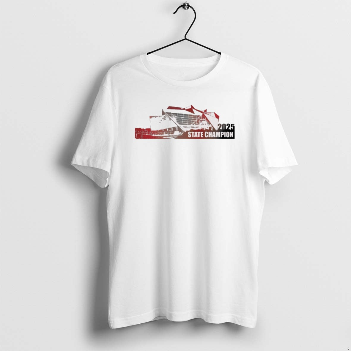 Official 2025 State Champions Creekside Seminoles Ghsa Class 4a Stadium T-Shirts, Hoodie, Sweatshirt