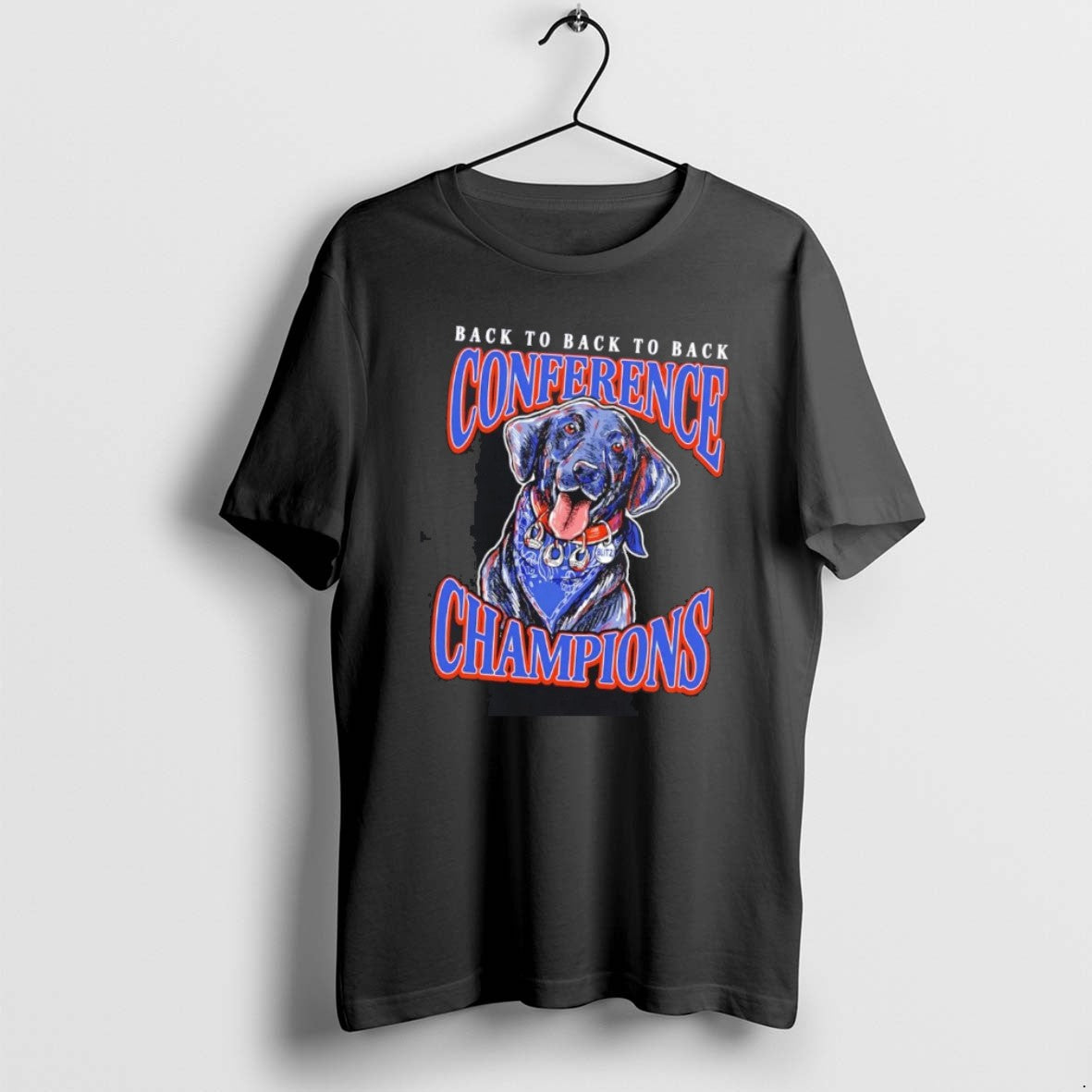 Official Boise State Broncos 2025 Back To Back Conference Champions Mascot T-Shirts, Hoodie, Sweatshirt | PopFlextees.com