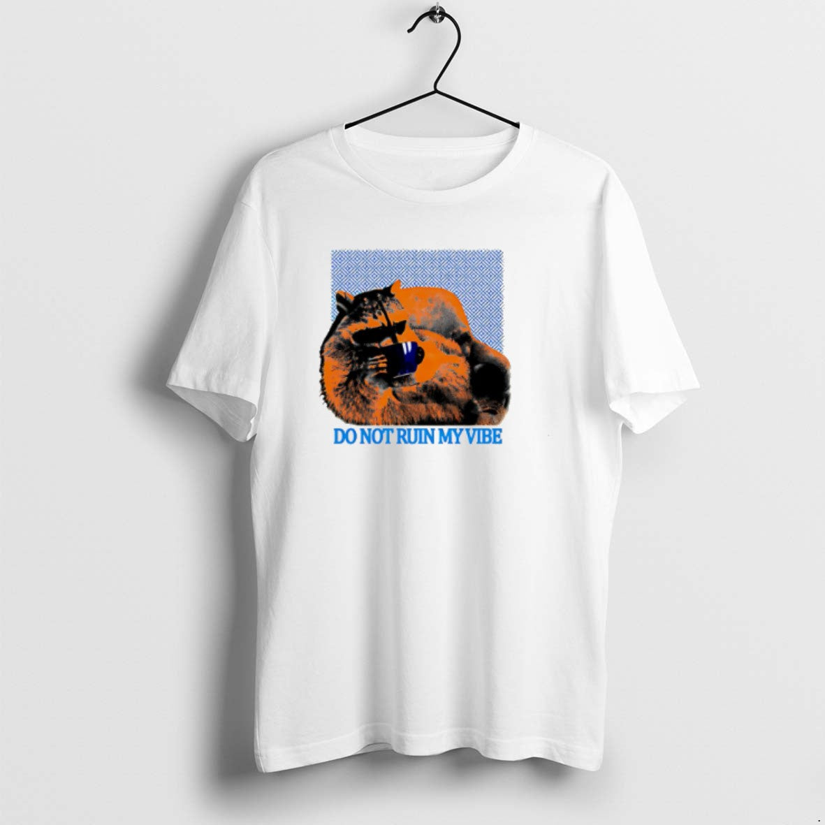 Official Do Not Ruin My Vibe Raccoon Trash Panda T-Shirts, Hoodie, Sweatshirt | PopFlextees.com