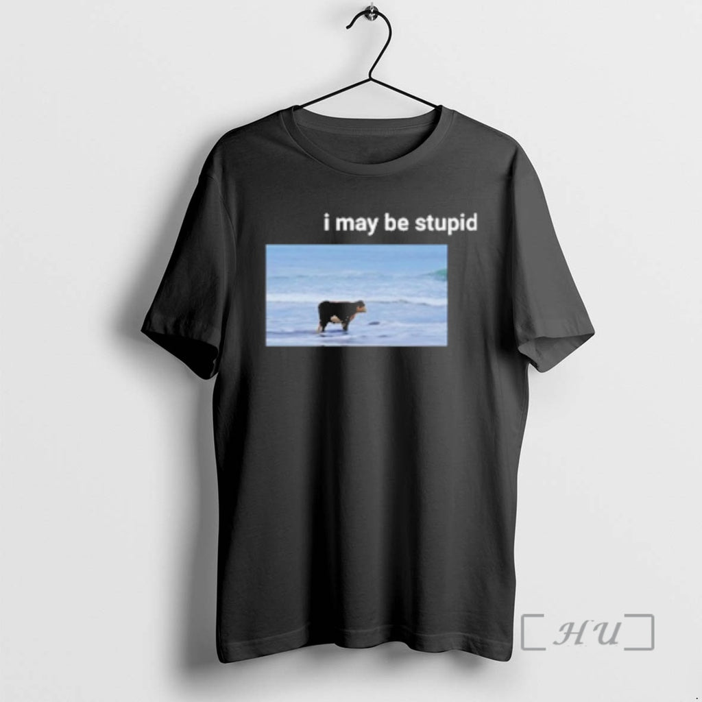 Officials I May Be Stupid Cow On Beach Meme T-Shirts, Hoodie, Sweatshirt | PopFlextees.com