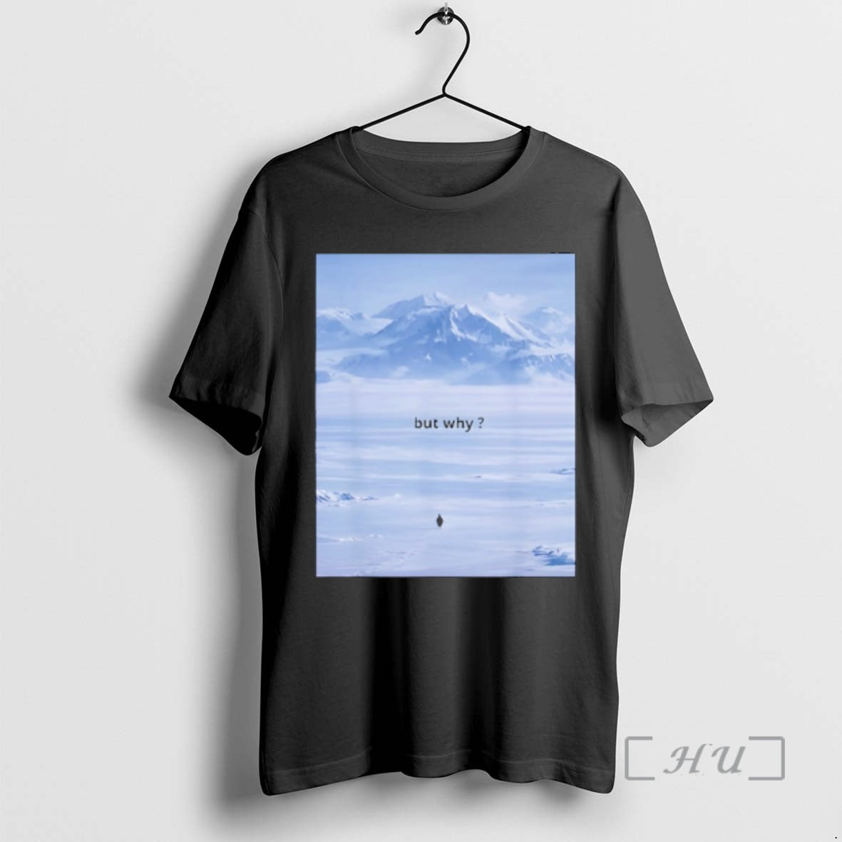 Officials Penguin But Why Meme Head Towards The Mountains Motivational T-Shirts, Hoodie, Sweatshirt | PopFlextees.com