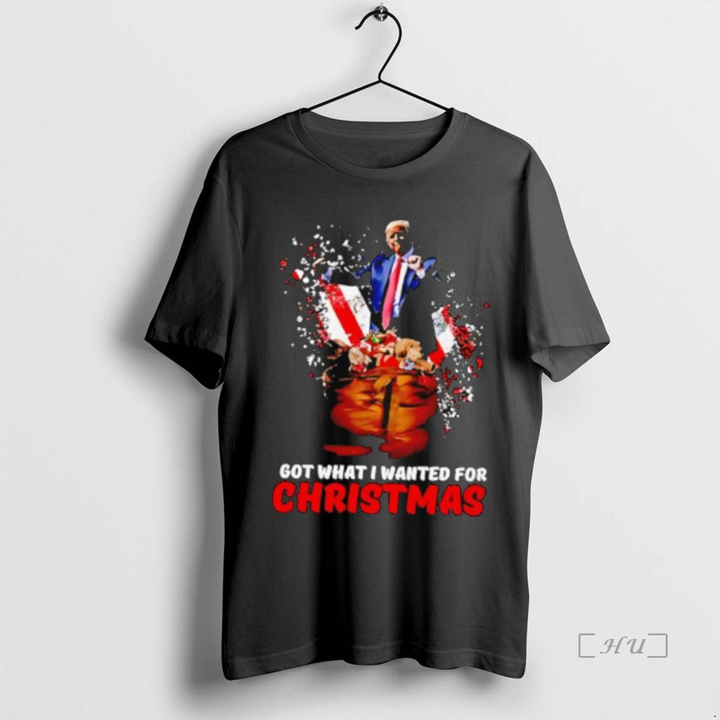Officials Trump Got What I Wanted For Christmas Stylish T-Shirts, Hoodie, Sweatshirt | PopFlextees.com
