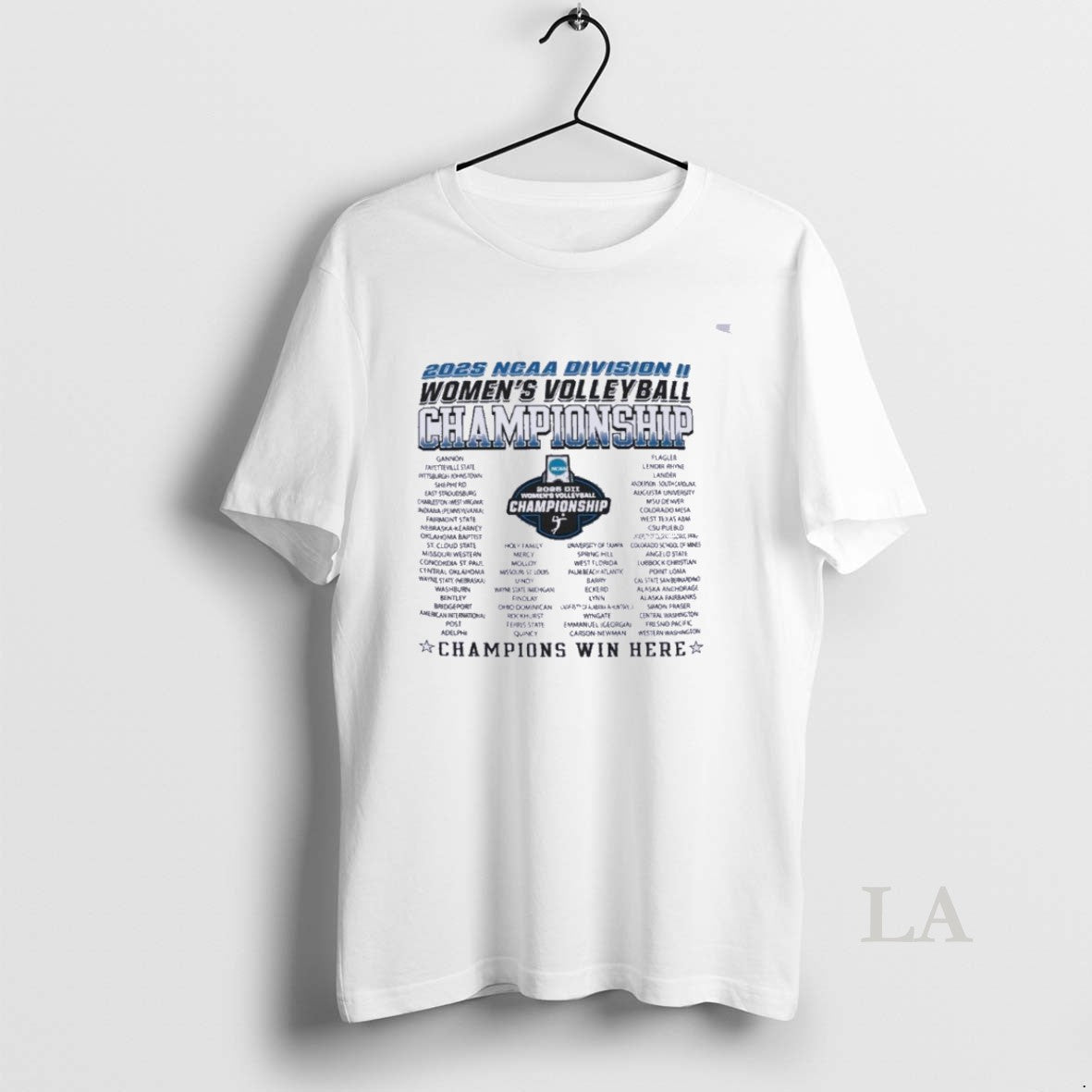 Original Dii Womens Volleyball Regionals 2025 T-Shirts, Hoodie, Sweatshirt | PopFlextees.com
