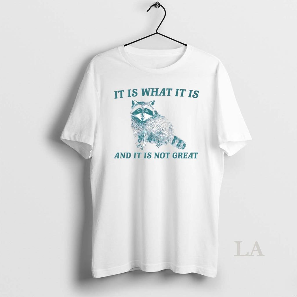 Original Raccoon It Is What It Is And It Is Not Great Circle T-Shirts, Hoodie, Sweatshirt | PopFlextees.com