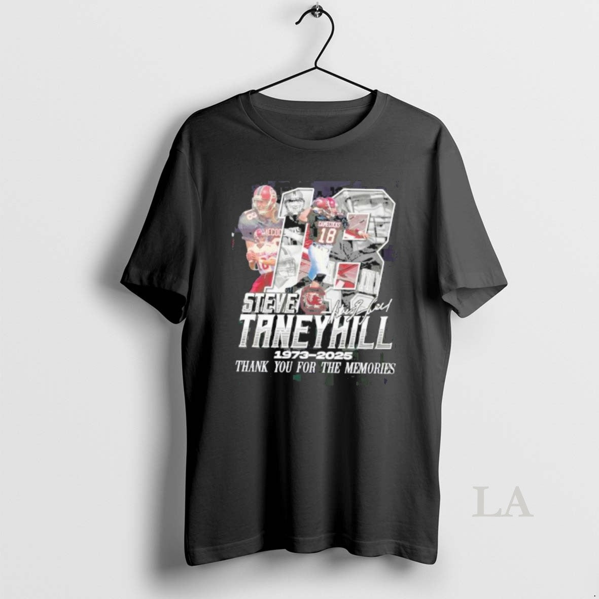 Original Steve Taneyhill South Carolina Gamecocks 1973 2025 Thank You Memories T-Shirts, Hoodie, Sweatshirt