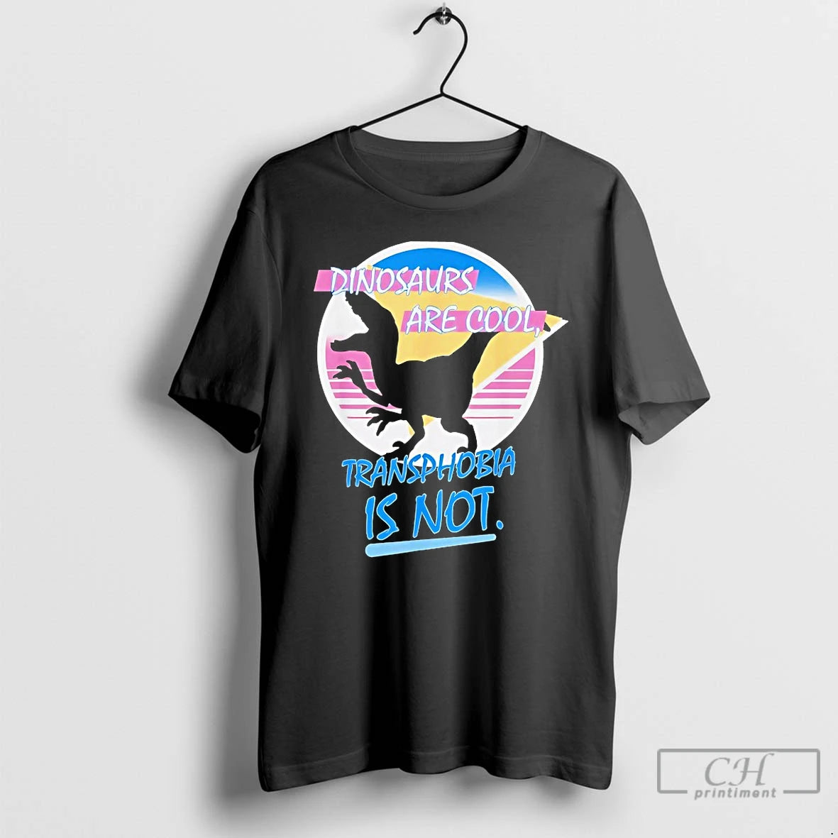 Dinosaurs Are Cool Transphobia Is Not T-Shirts, Hoodie, Sweatshirt