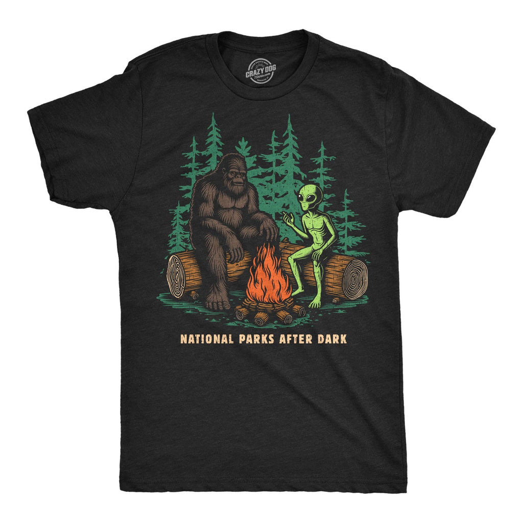 National Parks After Dark Men's T Shirt