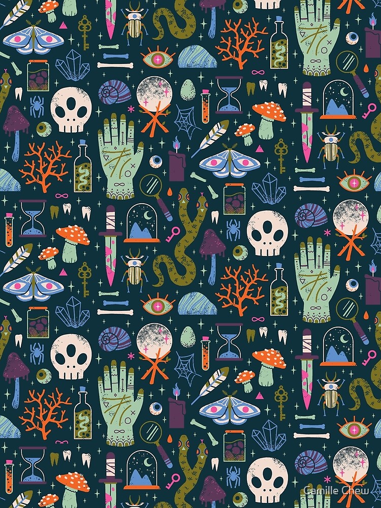 Curiosities by Camille Chew
