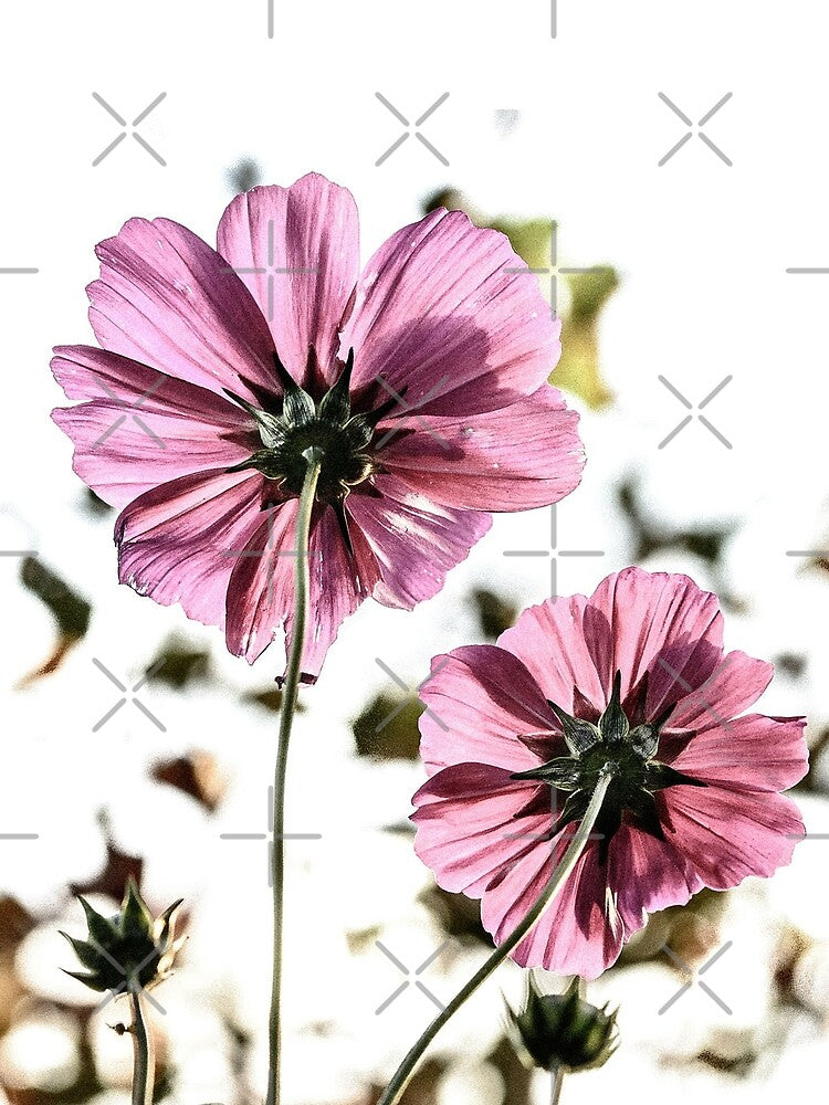 Flowers Women Flower Gift by Catana Design