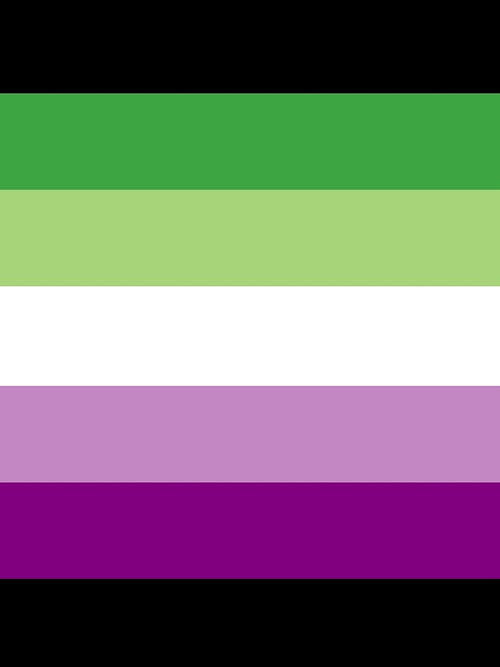AceAro Purple-Green Asexual Aromantic Pride Flag Queer LGBT+ by VincentsPlace