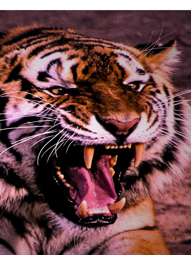 stretched tiger roar by Lucy4forbes