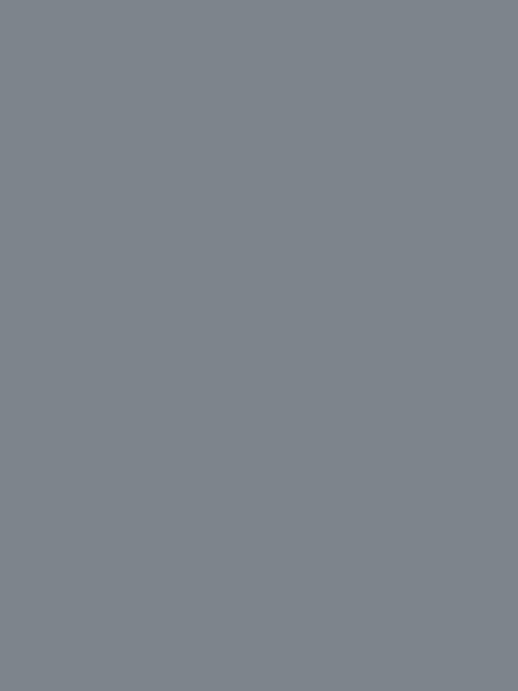 Steel Gray - Grey by maniacfitness