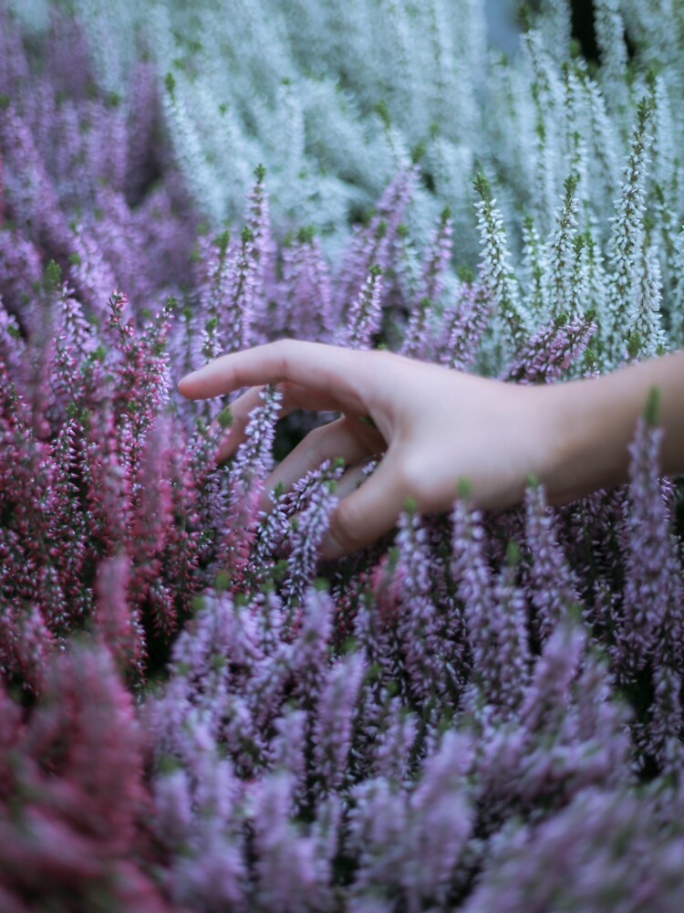Soft by . Eazypanda .