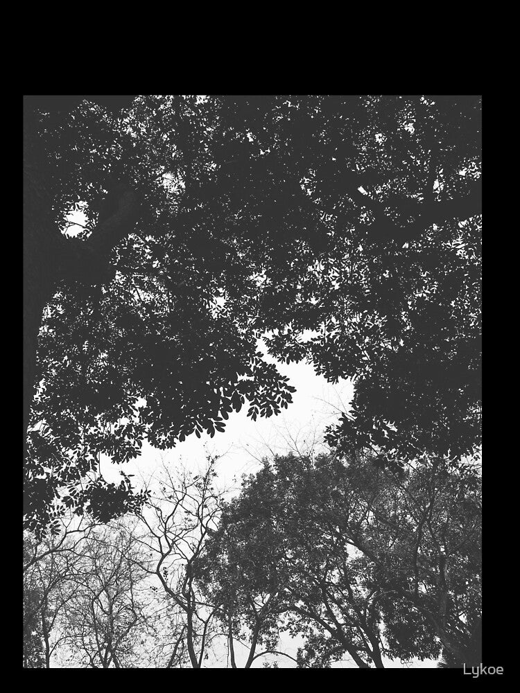 Black and white leaves by Lykoe