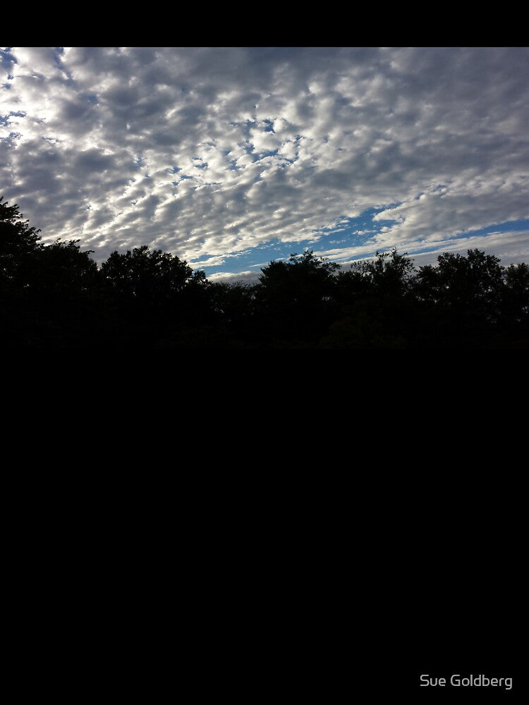 Cotton Balls In The Sky by Sue Goldberg