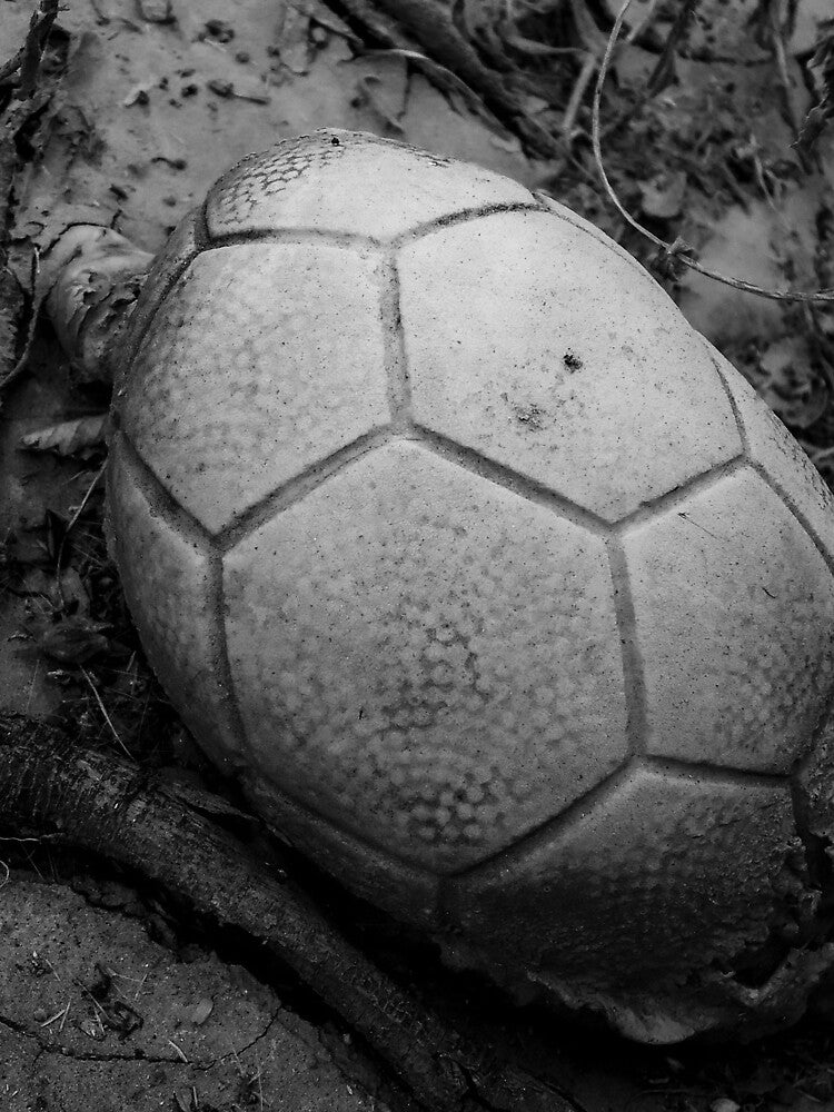 An old dry ball by felipequeiroz