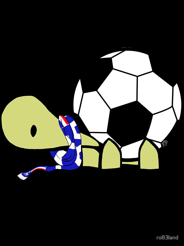 France football turtle by ro83land
