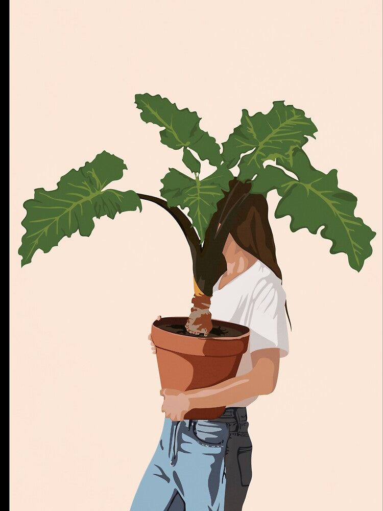 Vase Plant by Branka Kodzoman