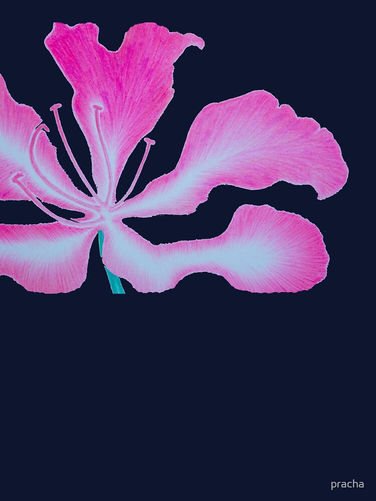 Pink flower 4 by pracha