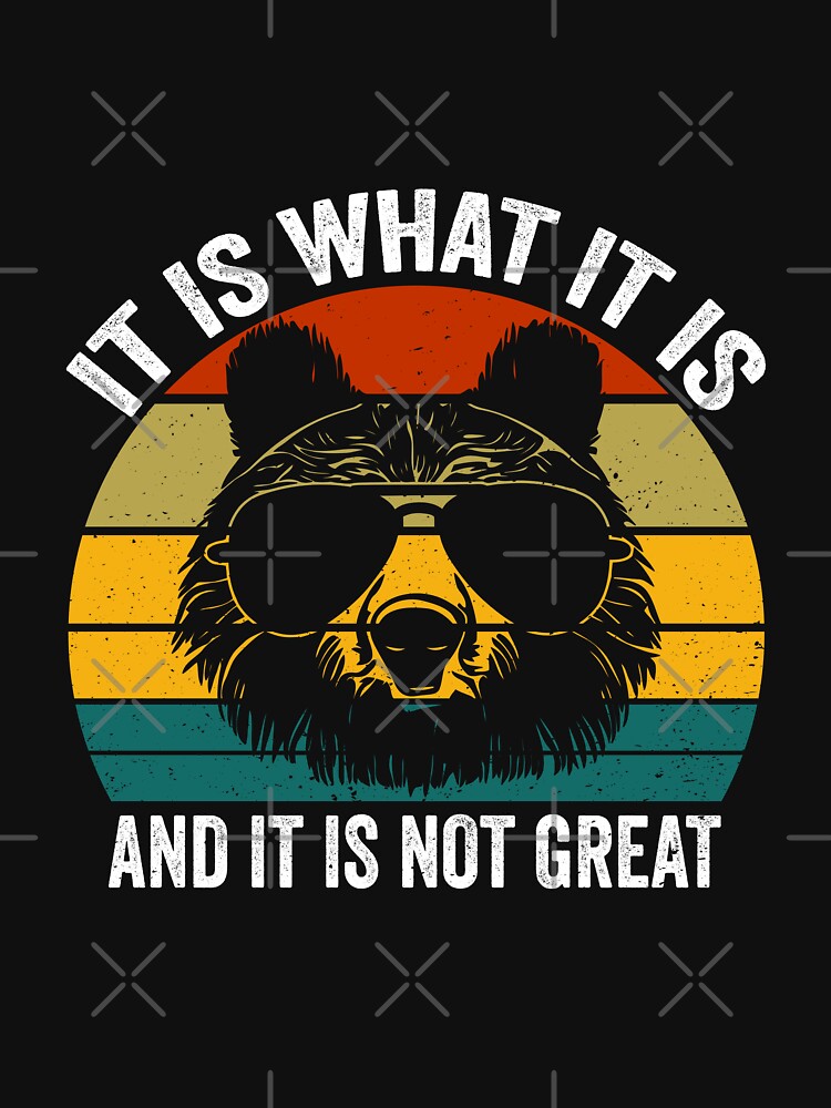 It Is What It Is and It Is Not Great Funny Cartoon Bear Meme by 7Merch